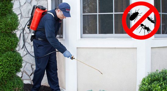 Kargı Kene İlaçlama böcek ilaçlama ve haşere kontrolü — ilaclama-tr.com